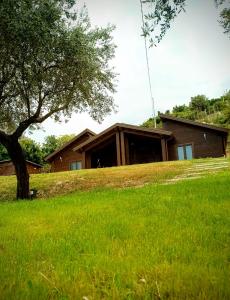 a house sitting on top of a lush green field at Nebrodi Agrivillage Bianca Sole Mia in Alcara li Fusi