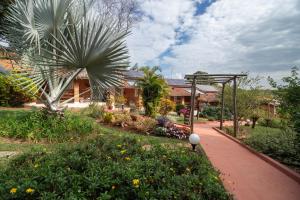 a garden with a palm tree and a house at Pousada da Lua São Pedro in São Pedro