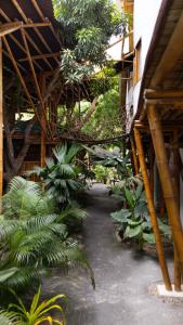 un camino a través de un edificio con un montón de plantas en Kanta Sana, en Palomino
