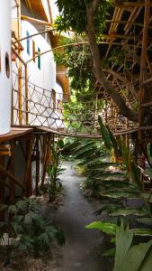 un pasillo en un edificio con un montón de plantas en Kanta Sana, en Palomino 65 fotos más