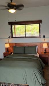 1 dormitorio con 1 cama verde grande y 2 lámparas en Bosque Tapantí, cerca del PN Tapantí en Orosí, Cartago, Costa Rica, en Purisil