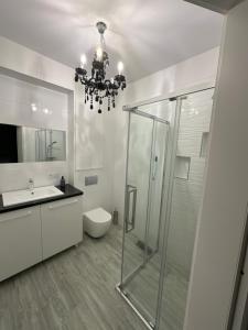a bathroom with a glass shower and a chandelier at Dom Michałki Luksusowa willa z ogrodem in Michalki