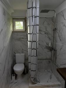 a bathroom with a toilet and a shower at Fox home in Khashchovanoye