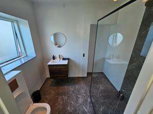 a bathroom with a shower and a sink and a toilet at Lovely room near train&airport in Copenhagen