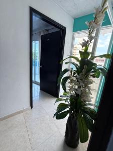 Gallery image of Arenamar Hotel Rodadero in Rodadero +26 photos