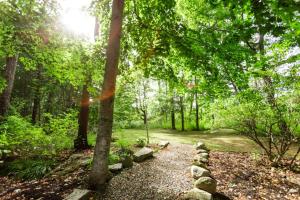 un sentiero in una foresta con un albero e delle rocce di Enchanted Forest Cabin a Winterport