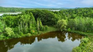 una vista aerea di un fiume alberato di Enchanted Forest Cabin a Winterport Altre 29 foto