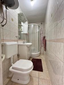 トレビニェにあるApartman Azraのトイレ、洗面台、シャワー付きのバスルーム