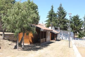 ein Holzhaus mit Bäumen davor in der Unterkunft Douro Camping in Miranda do Douro