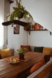 a dining room table with a bowl of fruit and a plant at Hostel en Córdoba Capital con excelente ubicación y ambiente cuidado -Casa Revol- Barrio Güemes in Cordoba