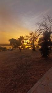 dos árboles en un campo con la puesta de sol en el fondo en Casas rurales La Colada, en El Viso