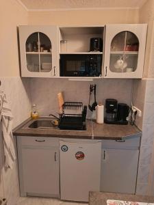 Køkken eller tekøkken på Ilona Apartman Harkány + 22 billeder