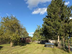 a park bench sitting in the grass near trees at Gutshof von Gemünden Ferienwohnung 4 in Bernau bei Berlin