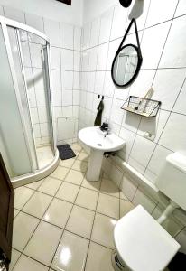 a bathroom with a sink and a shower and a toilet at Central Studio With Parking in Arad