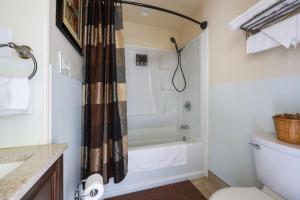 a bathroom with a tub and a shower curtain at Close to Hospitals Peaceful Birmingham Studio in Wisteria Commons +16 photos