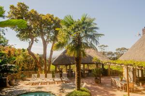 a resort with a pool and chairs and a palm tree at Ikhaya Safari Lodge in Cape Town