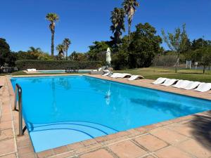 プレッテンバーグ・ベイにあるThe Nest at Castletonの椅子とヤシの木のあるプール