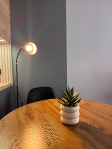 a plant in a white vase sitting on a table at Apartament Bergera Olive Hill-2 pokoje in Poznań