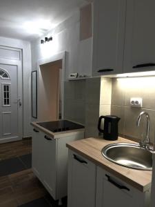 a kitchen with a sink and a counter top at msapartman in Surčin