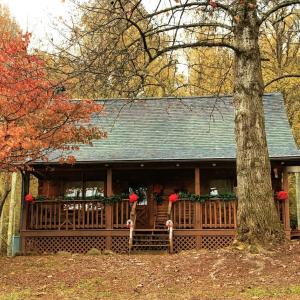 Foto dalla galleria di Free Tickets! Windy Ridge-Pet-Friendly wfee Cabin with Fishing Access & Fenced In Yard a Sevierville