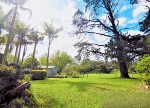 a yard with palm trees and a house at Dural paradise in Dural