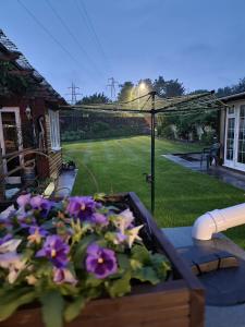 a garden with purple flowers in a wooden box at Dorset Escape in Poole