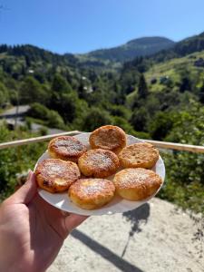 a person holding a plate with donuts on it at Dream House in Krivorovnya +12 photos