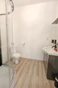 a bathroom with a toilet and a sink and a shower at Large studio avec terrasse in Amélie-les-Bains-Palalda +5 photos