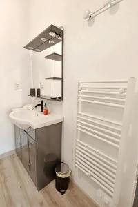 a bathroom with a sink and a mirror at Large studio avec terrasse in Amélie-les-Bains-Palalda
