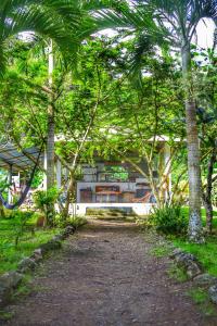 a house in the middle of a forest of trees at Casa Alma in Capurganá