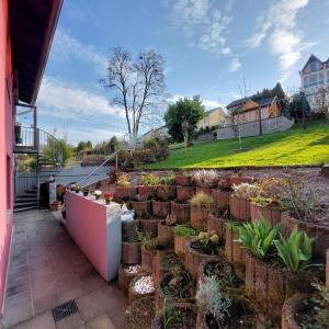 ベルンカステル・クースにあるFeriennest Zitaの家庭庭