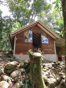 a small cabin in the middle of a forest at Posadas Entre El Bosque in San Luis