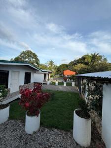 a yard with two white containers with plants in it at Casa Zafiro 2 bdr beach house AC WIFI BBQ in Puerto Jiménez