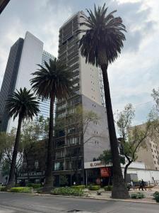 two palm trees in front of a tall building at Casa Colon Reforma in Mexico City