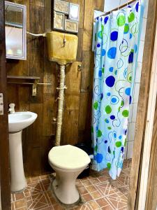 un bagno con un water e una tenda da doccia di Hostel Paraíso Embaú a Guarda do Embaú