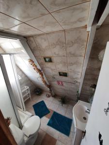 コキンボにあるTropical Cabaña Bの屋根裏のバスルーム(トイレ、シンク付)