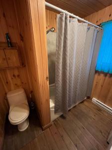 a bathroom with a toilet and a shower with a shower curtain at Relax On the Lake Waterfront with Hot Tub in Chertsey +39 photos