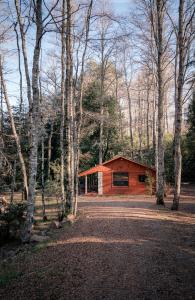 a log cabin in the middle of a forest at Lodge Rio Encantado, Pucon in Pucón +36 photos