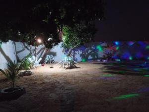 a park lit up at night with green lights at Pensionado Mami Tchesca in Aracati +10 photos