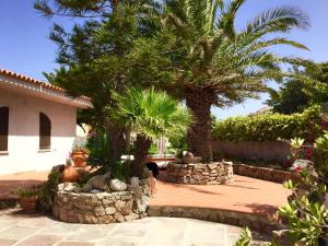 un patio con palmeras y una casa en Villa Gandamar, en Santa Teresa Gallura