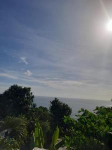 a view of the ocean from behind some trees at Faith & Peace Guest House in Fontenoy