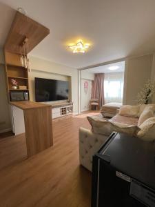 Μια τηλεόραση ή/και κέντρο ψυχαγωγίας στο Mini Apartment Ares 2