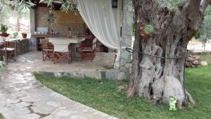 Zahrada ubytování Studios Elianthos