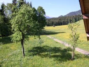 two trees in a grassy field with a house at Farmhouse in Hopfgarten near SkiWelt in Hopfgarten im Brixental