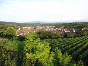 Příroda nedaleko apartmánu