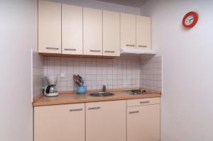 Kuchyňa alebo kuchynka v ubytovaní Apartment Božan