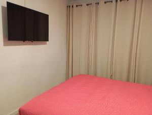 TV a/nebo společenská místnost v ubytování Alojamiento cerca a Metro Moneda