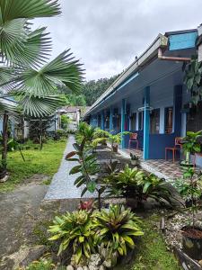 a blue house with plants in front of it at Hashtag Tourist Inn in San Vicente