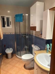 a bathroom with a shower and a toilet and a sink at Alojamiento rural Villa Carmen in Mula +5 photos