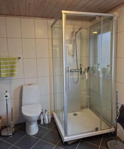 ein Badezimmer mit Dusche und Toilette in der Unterkunft Moderne hytte på Tingvoll nær sjø og turterreng in Tingvoll + 20 Fotos